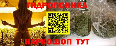 прущие грибы Бугуруслан